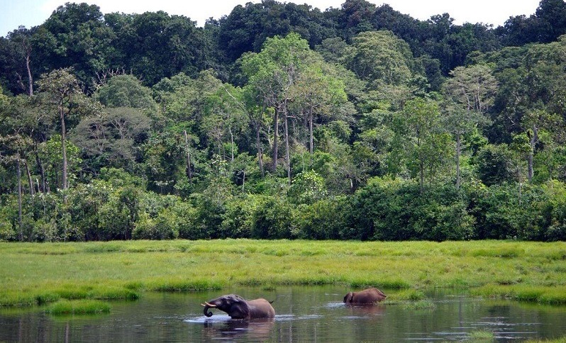 Togo : Lancement officiel de l’Office national des aires protégées pour une gestion durable des ressources naturelles