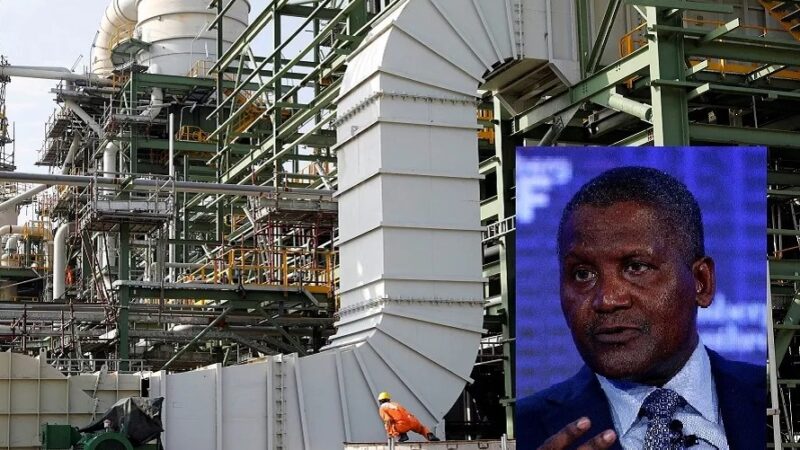 Cameroun : Dangote Cement prévoit une croissance du marché cimentier à court terme grâce aux projets d’infrastructures