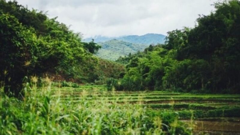 Togo/Environnement : Une nouvelle édition de la Quinzaine de l’environnement et du développement annoncée