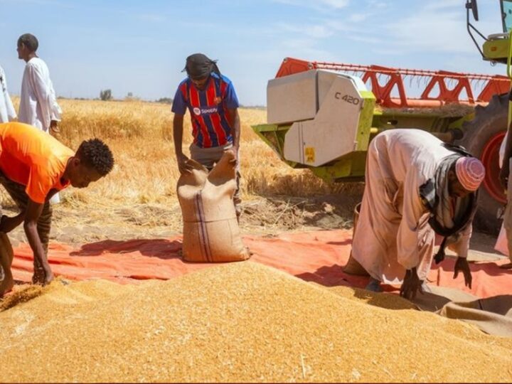Soudan/Crise alimentaire : Le ministre de l’Agriculture recadre l’ONU
