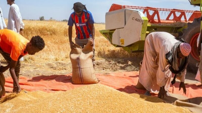 Soudan/Crise alimentaire : Le ministre de l’Agriculture recadre l’ONU